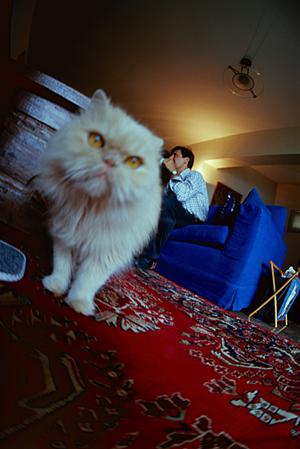 ペットの健康管理に役立つ最新情報をお届け！獣医師推奨の療法食が通販で手に入る方法