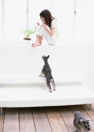 信頼と実績のアサンテ：土日祝日も対応可能なシロアリ駆除サービス