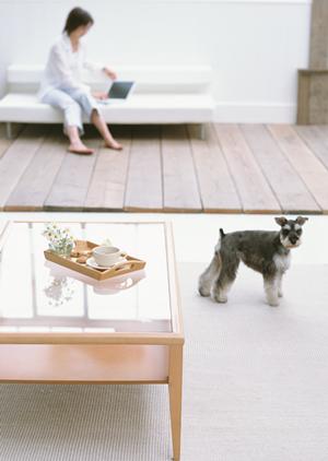 愛犬の健康を考えたノンシリコン