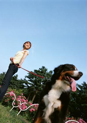 トイプードルを買いたいと思ったら